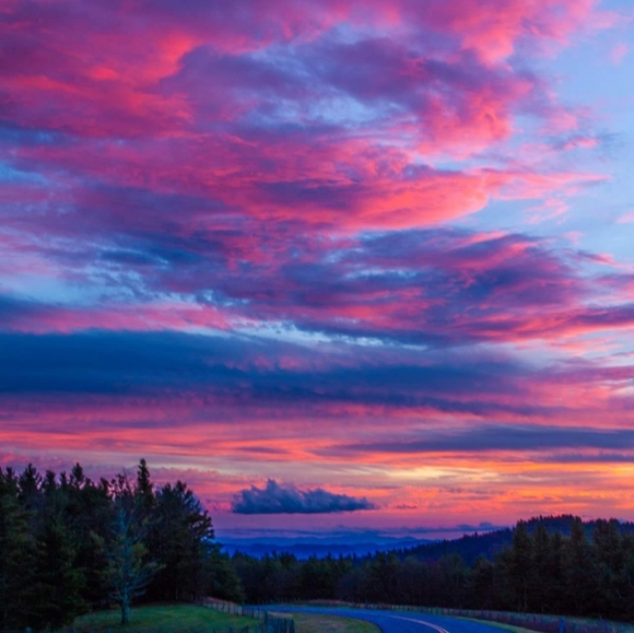 Meet your Posher, Kim - Picture 6 of 9